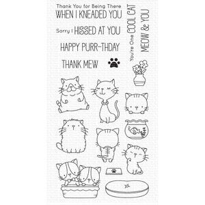 My Favorite Things Cool Cat Clear Stamps MFT Kitty